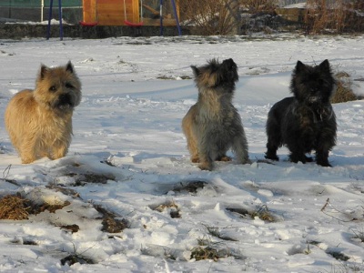 Bild2