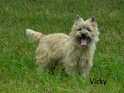 Vicky