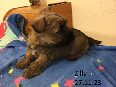 zilly