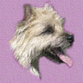 Cairn